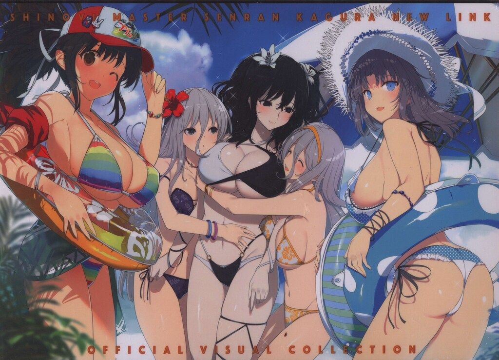 SHINOVI MASTER SENRAN KAGURA NEW LINK OFFICIAL VISUAL COLLECTION