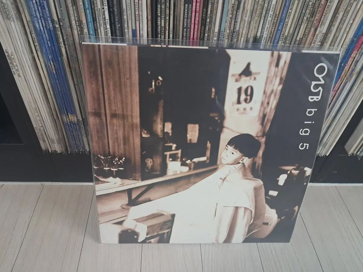 LP ゴング・イル・オビ 5 家 早い ( 1994 年)