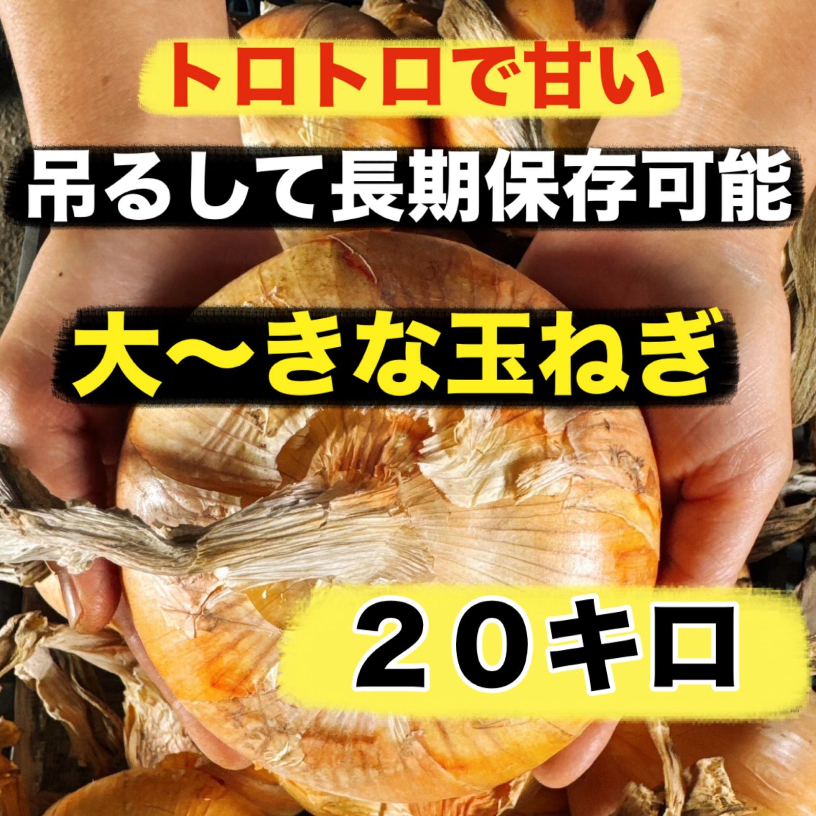 20kg】甘くてトロトロ！吊るせるビッグ玉ねぎ - メルカリ