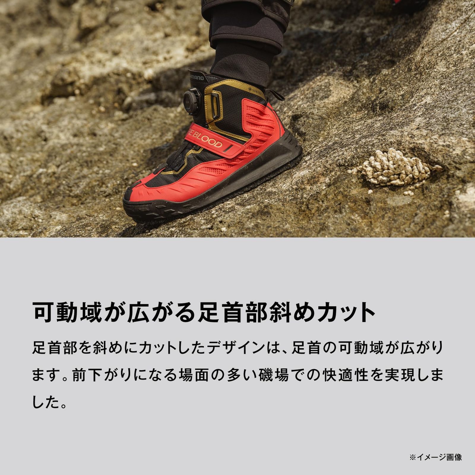 シマノ(SHIMANO) リミテッドプロゴアテックスシューズ FS-140X リアルブラック 25.0 [リアルブラック] [Free Size]