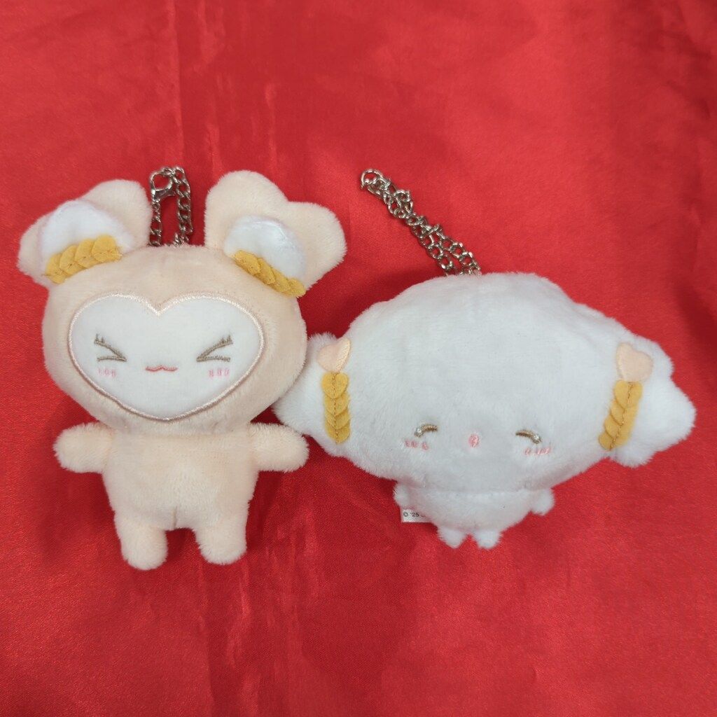 TWICE TWICE LOVELYS×SANRIO CHARACTERS DAHYUN バッグチャームセット 7,877円