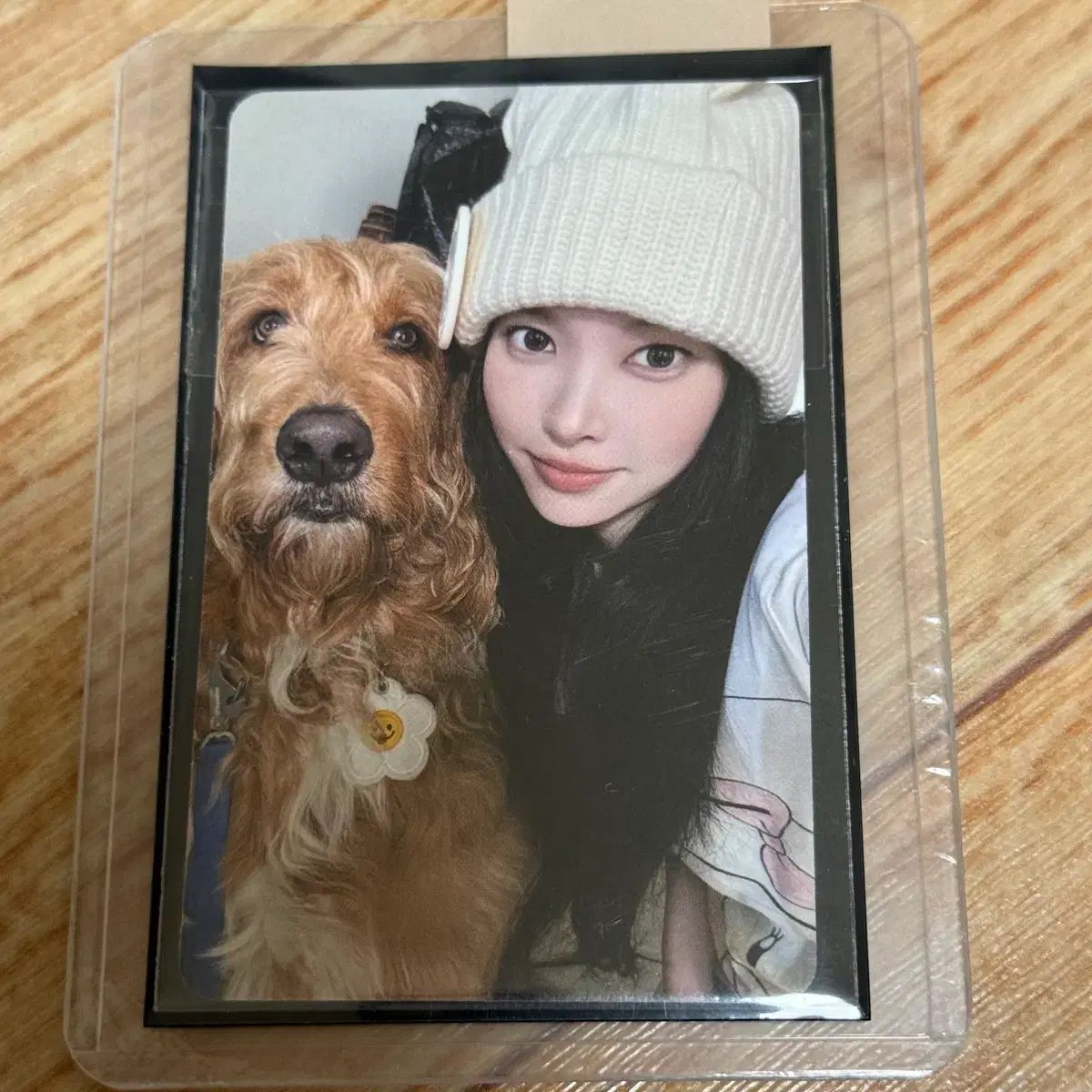 ILLIT イッツミー マミラベルフィナタパイ Music Korea ユナ(YOONA) 未