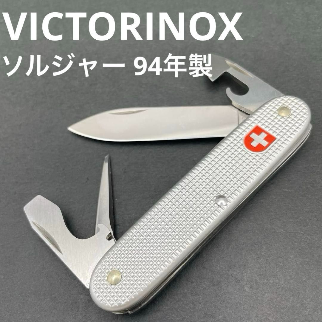 Top【選抜株】多肉植物 13222トランカータ スノーウルフ 10個 鉢無し