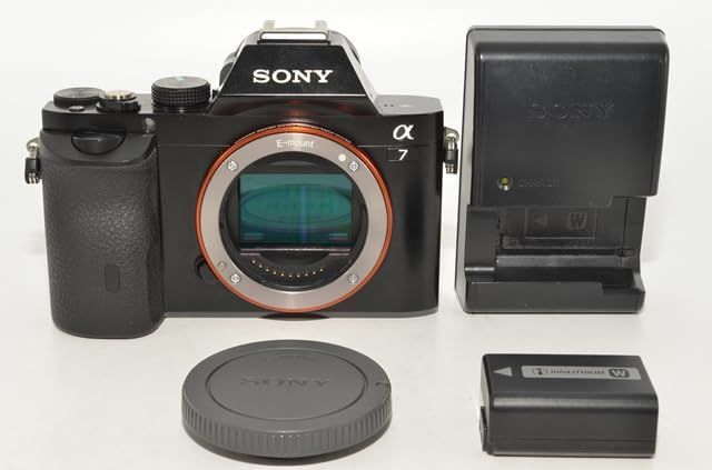 1079★美品・ショット数865回★SONY α7 ボディ ILCE-7
