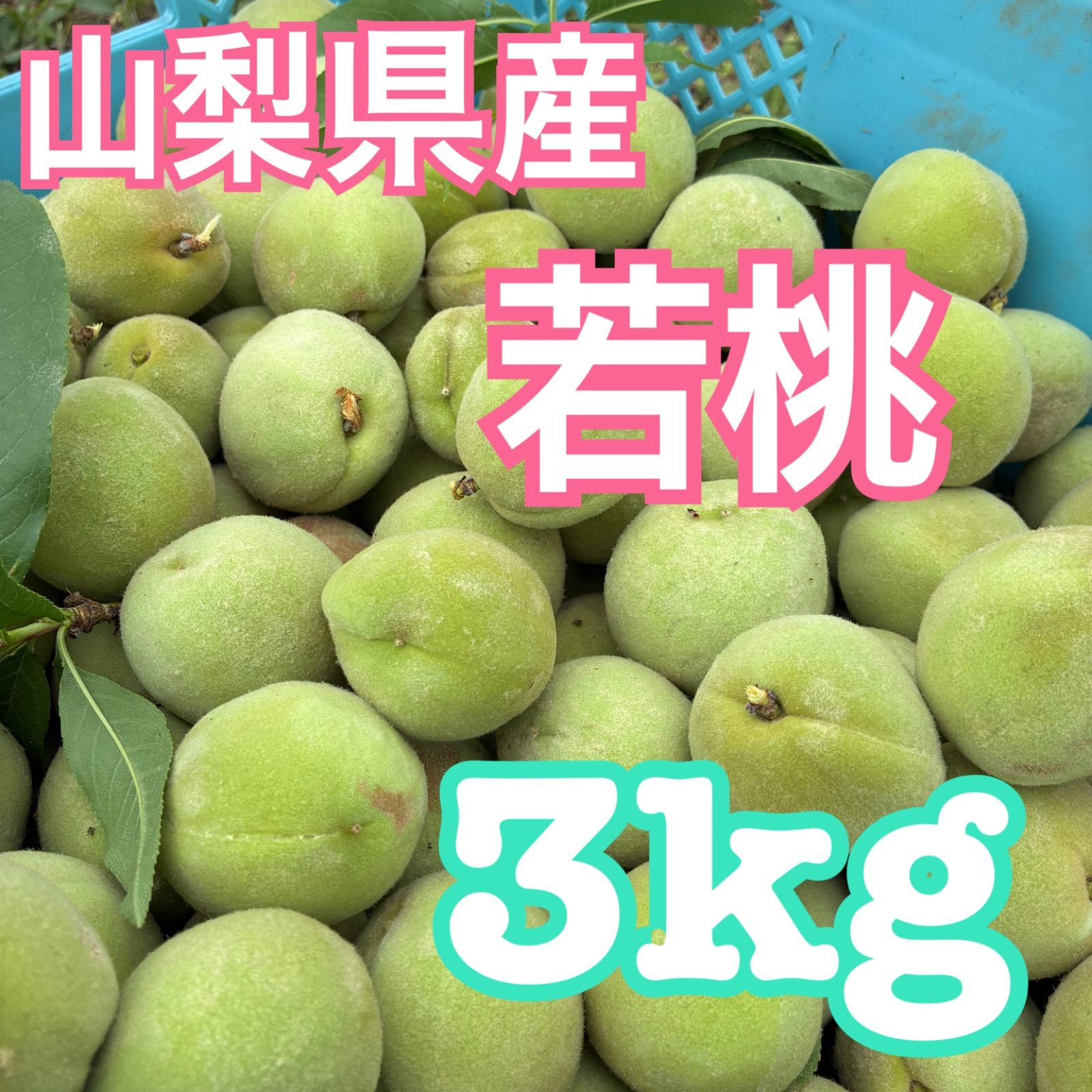 加工用】山梨県産 若桃 約3kg 青桃 果実酒・酵素シロップ用 - メルカリ