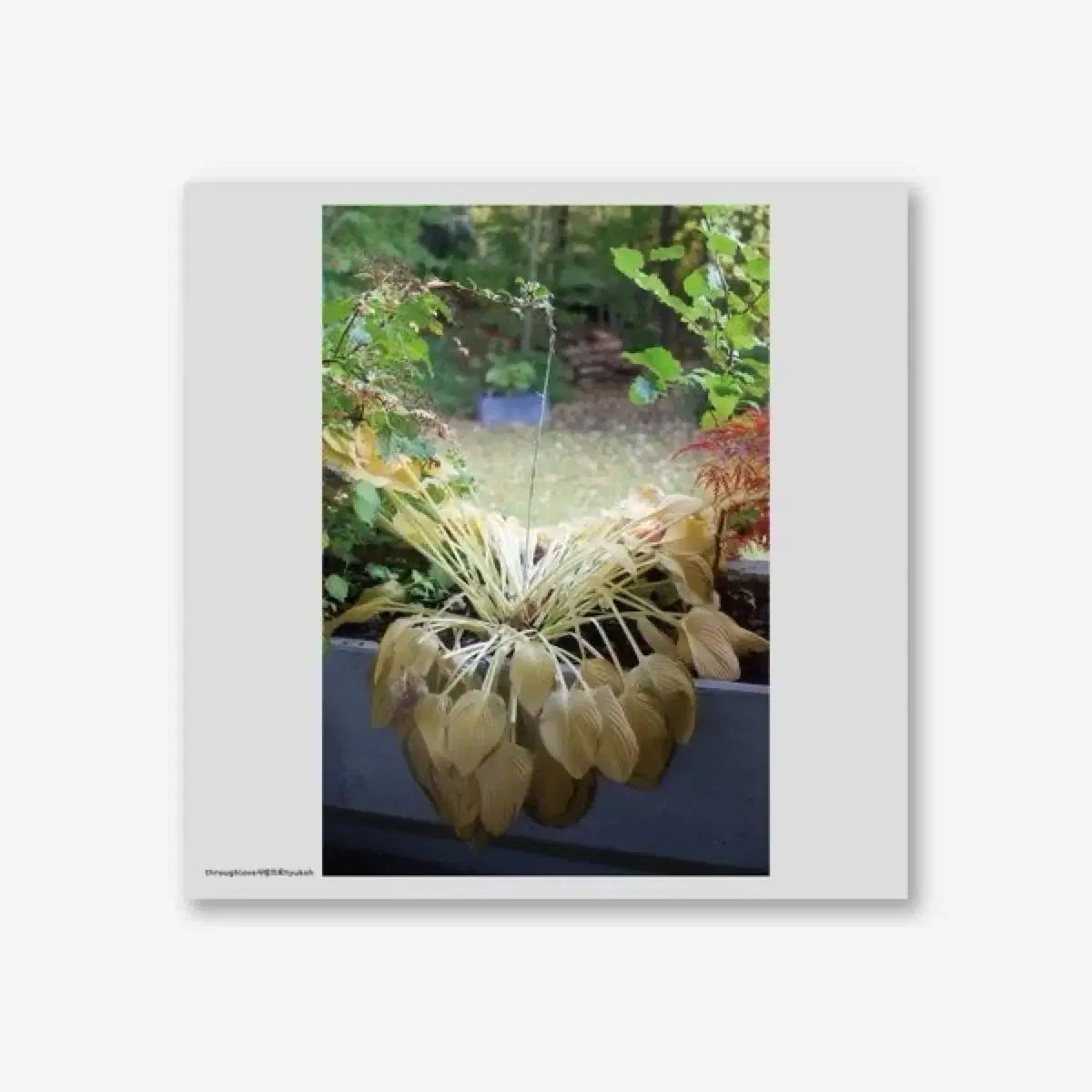 ヒョクオウ ー 愛をこめて LP (発売価格 出品