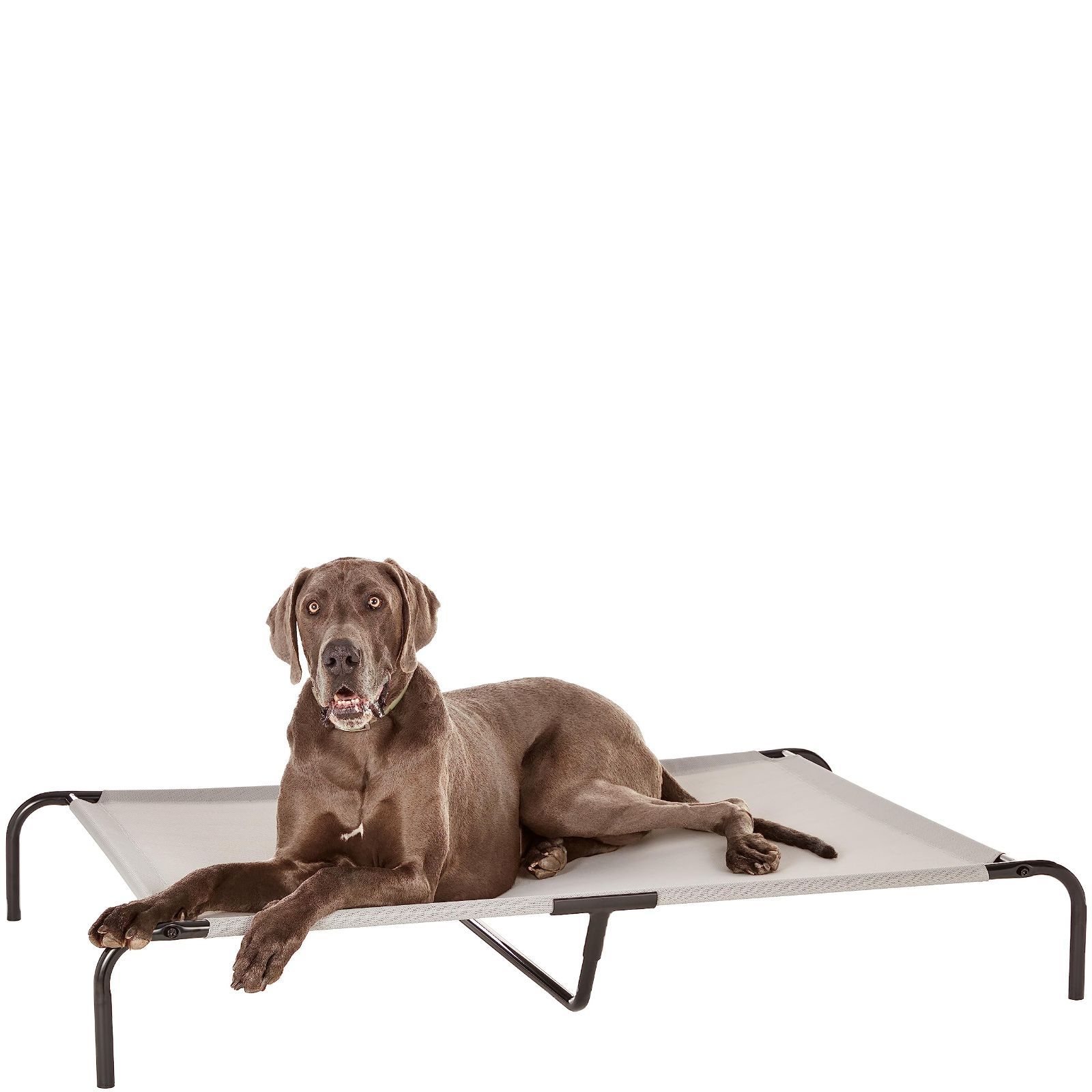数量限定 グレー XLサイズ メッシュ ドッグコット 犬猫用脚付きペットベッド ベーシック