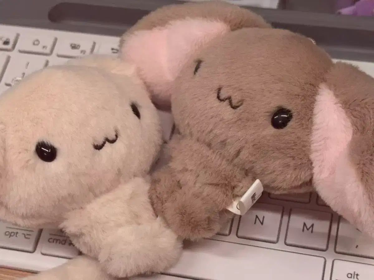 氷川 日菜 うさぎ ぬいぐるみ