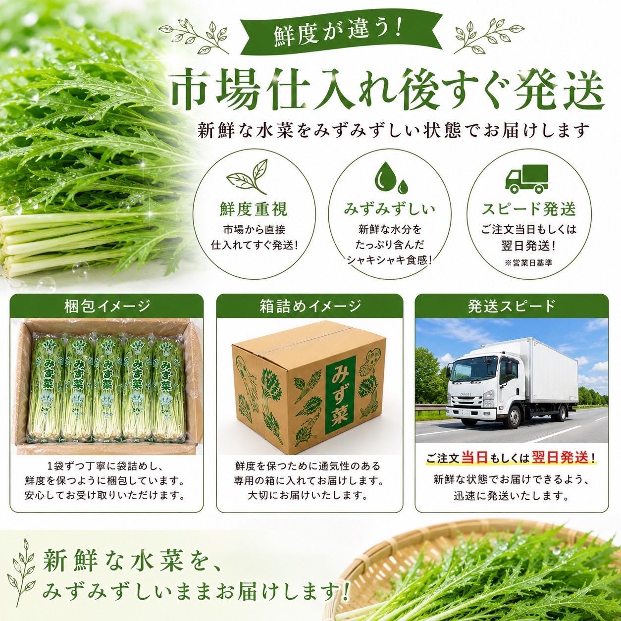 40袋】国産水菜 大容量 業務用・家庭用 - メルカリ