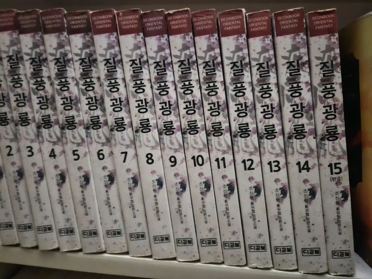 疾風の龍 1-15巻