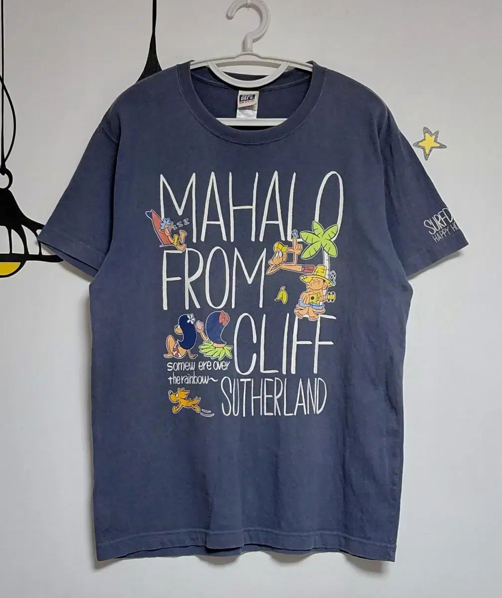 SURF DAY'S サーフデイズ ハワイアン グラフィック サーフ Tシャツ (L)