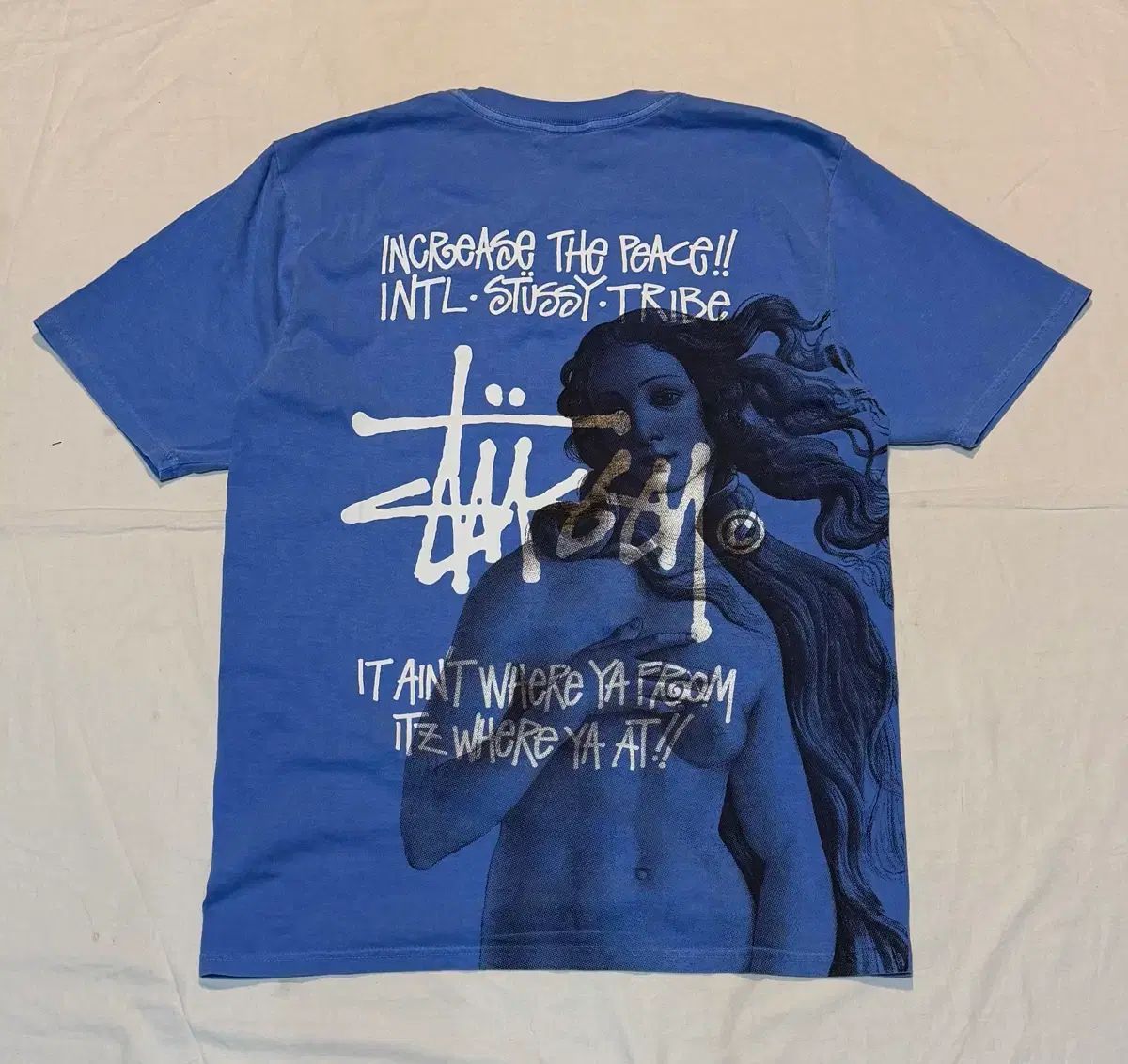 *レア* STUSSY ステューシー イースト Venus PIGMENT ピグメント Tシャツ ブルー