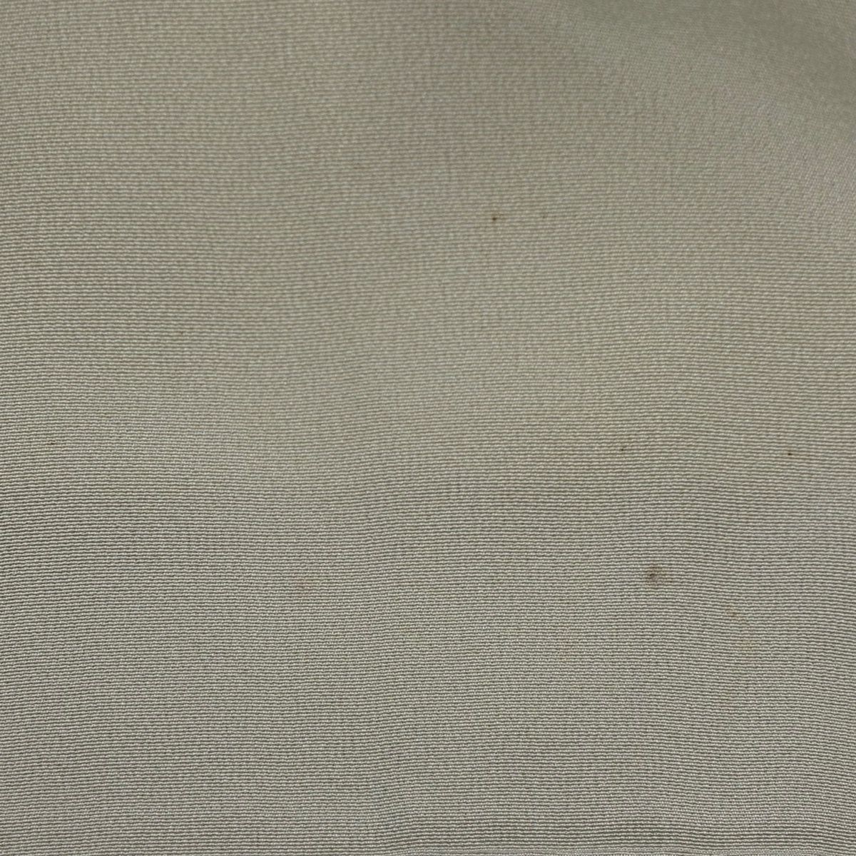 色留袖 身丈153cm 裄丈62.5cm S 袷 松尾光琳 落款 松屏風図 牡丹 金彩