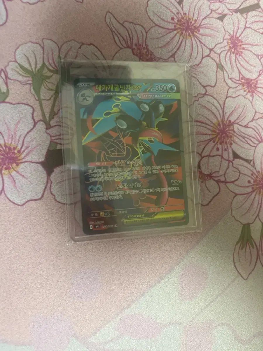 ポケットモンスター カード メガ カメジオン EX sr