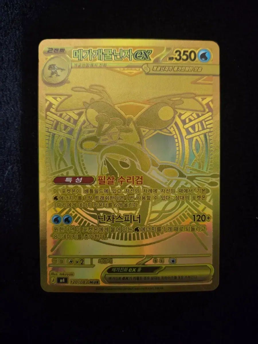 ポケットモンスターカード メガカメックス EX mur