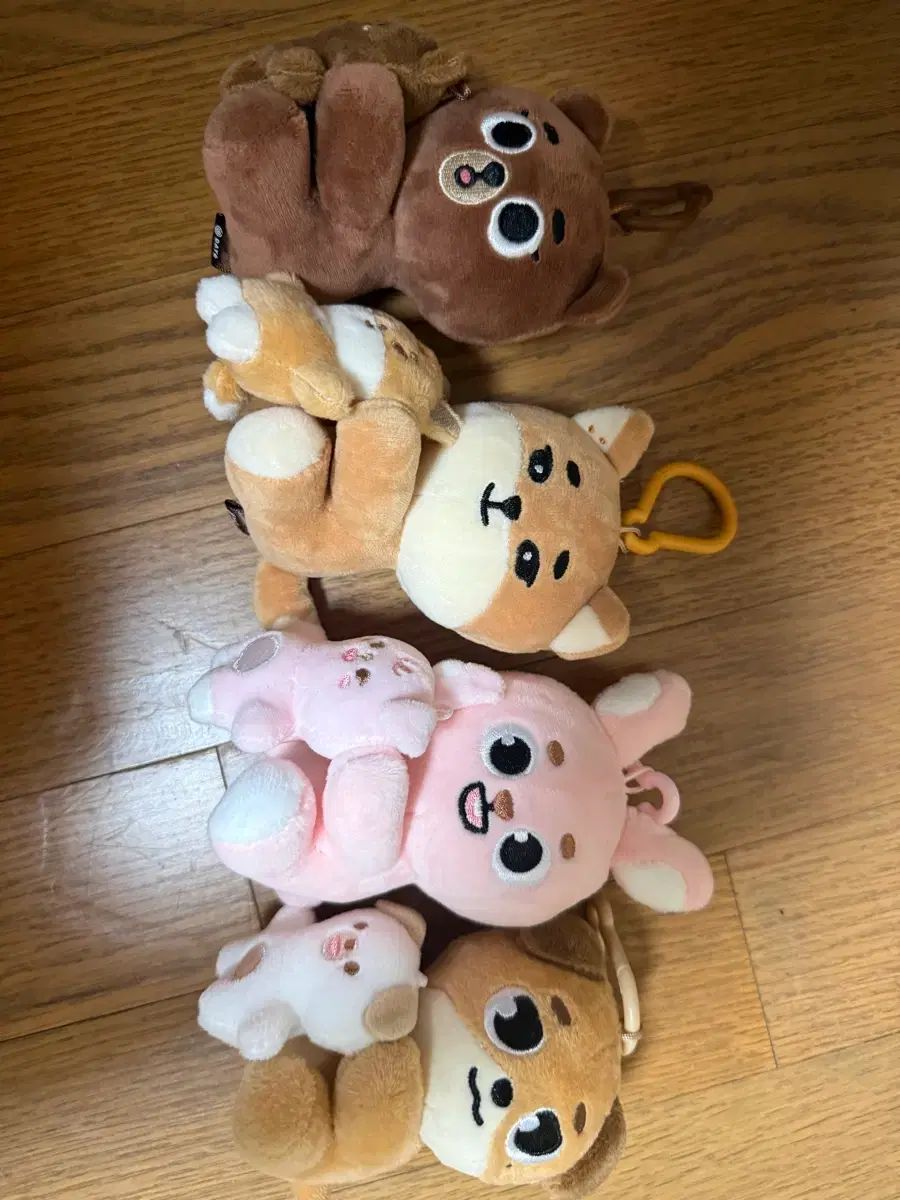 DAY6（デイシックス）ナアンア デマルチラメ 11,836円