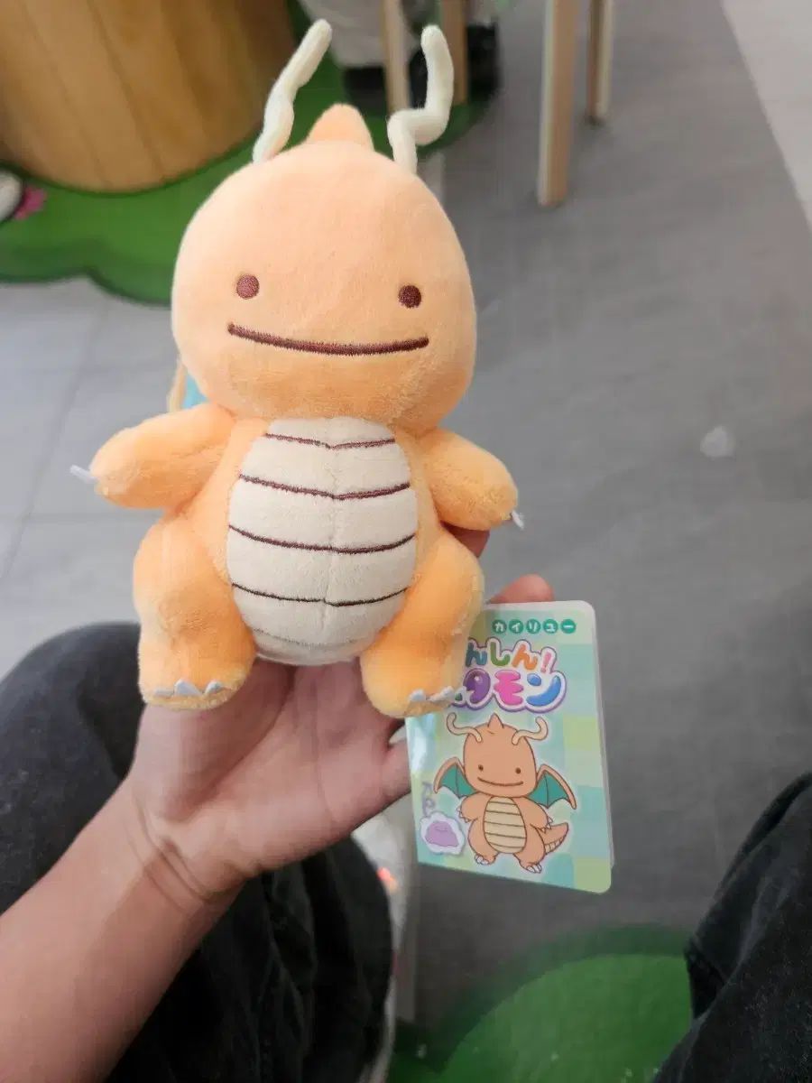 ポケモン 聖水 変身メタモン(メタモン) ヌメルゴン 新品