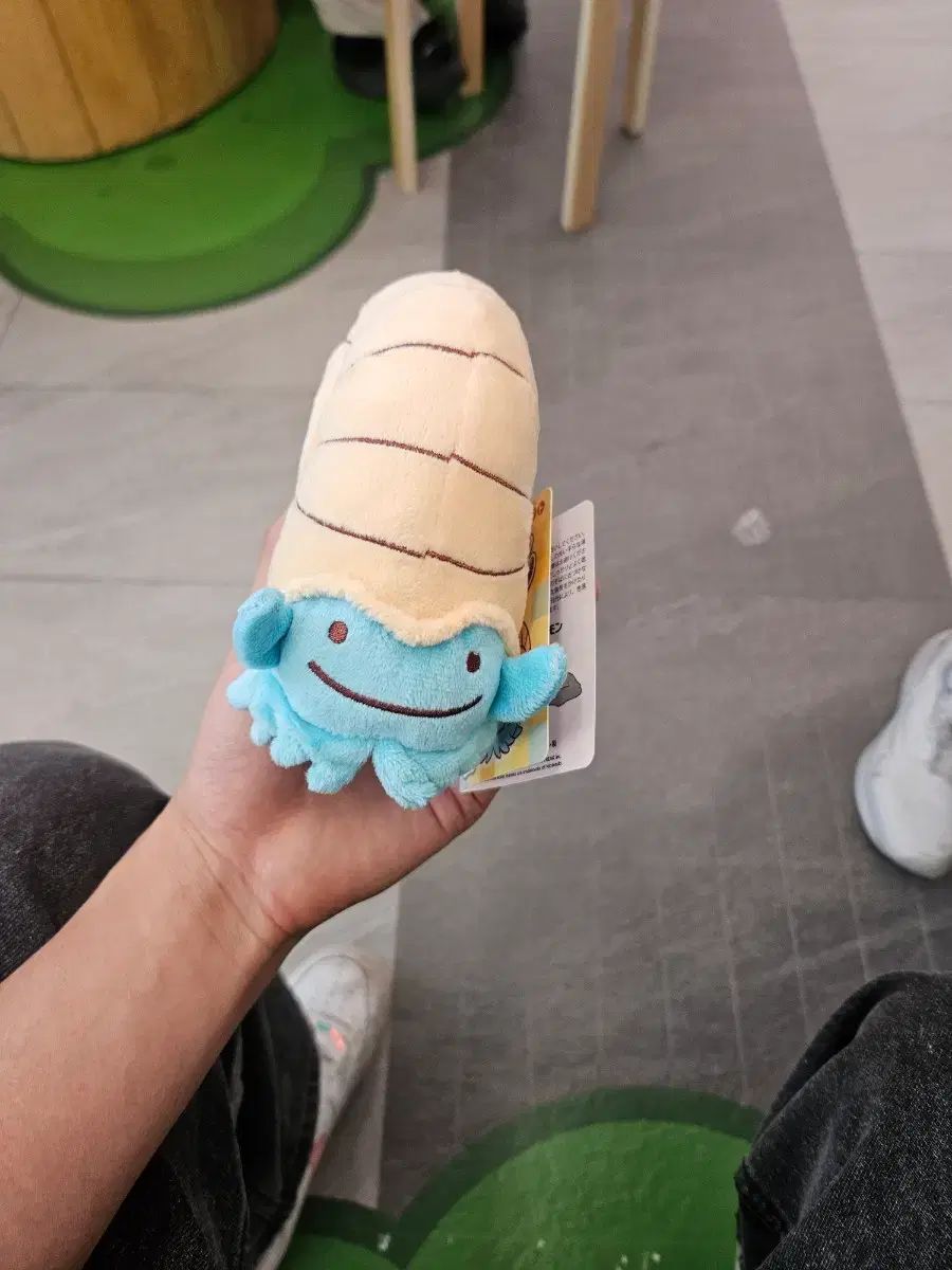 ポケットモンスター 성수 変身メタモン ナイト 新品 7,283円