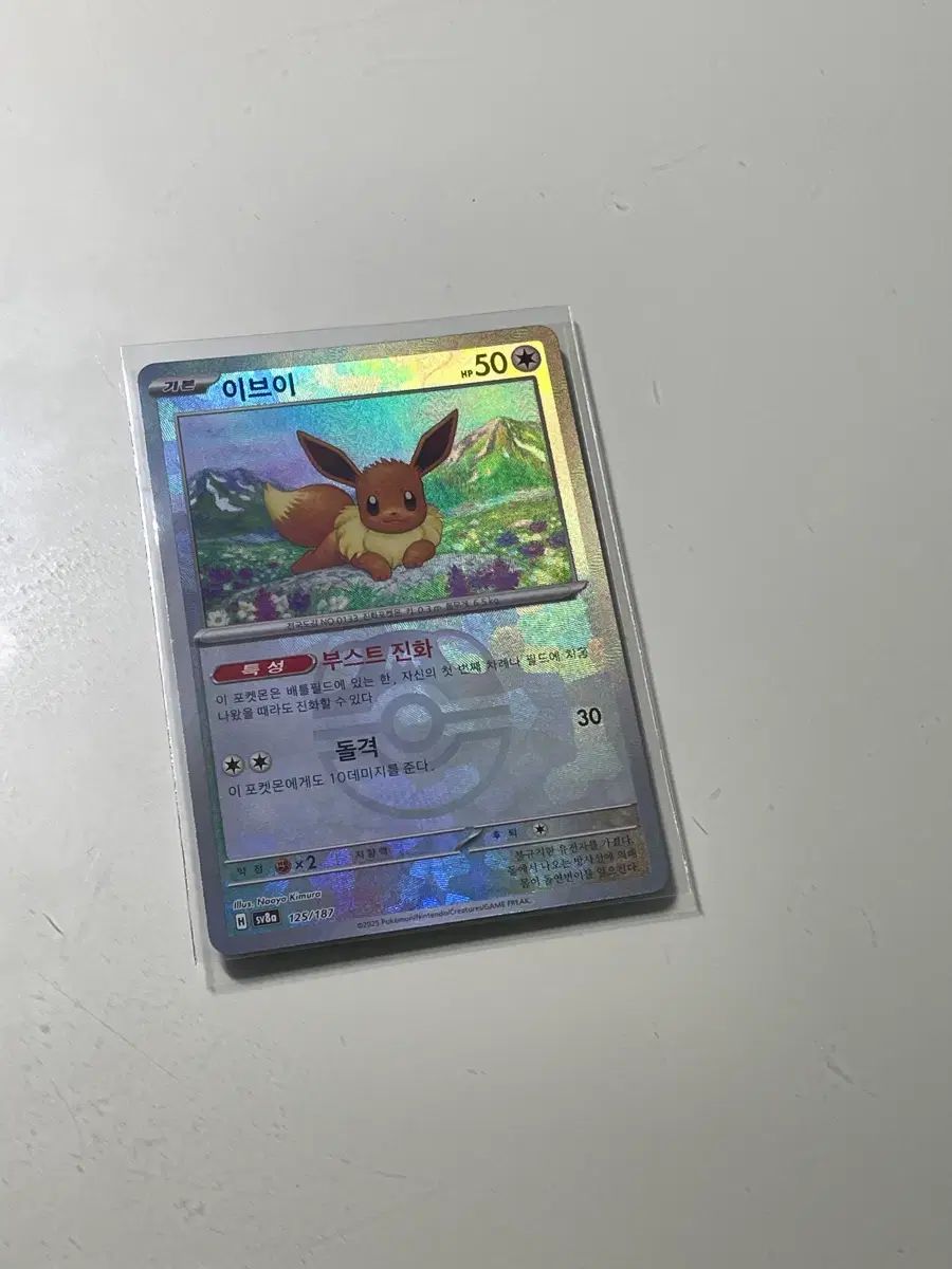 イーブイ マスターボール ミラー テラスタル フェスタ ex 出品