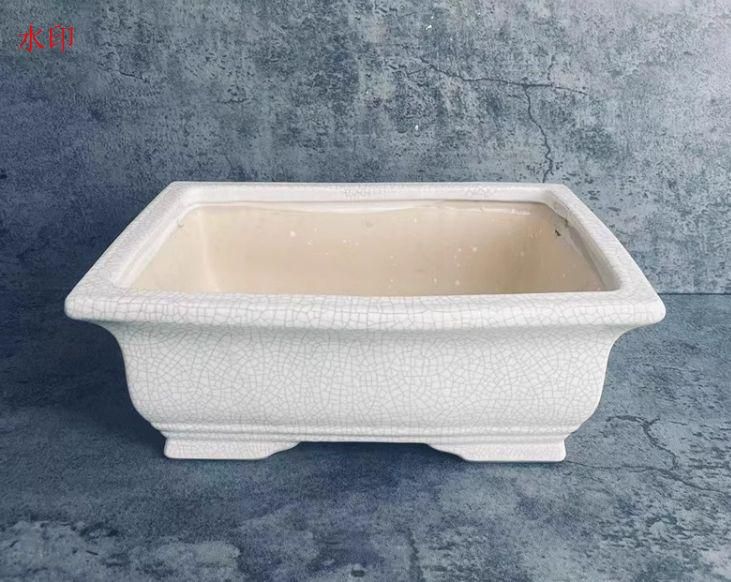 長方鉢 多肉植物鉢 盆栽鉢 植木鉢 小品盆栽鉢 大品盆栽鉢