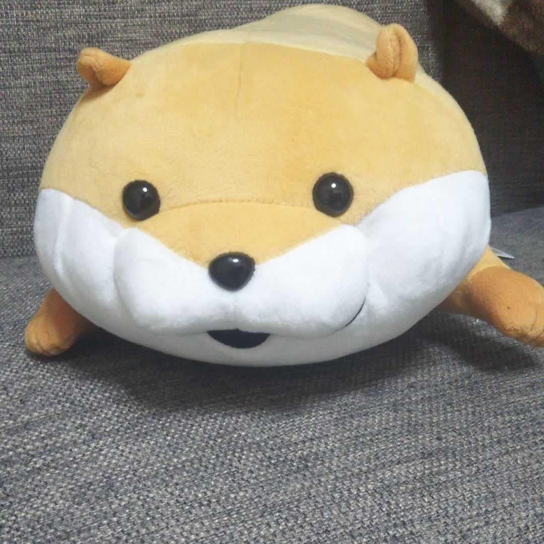 新品 可愛い嘘のカワウソ 寝ころびBIGぬいぐるみ 全1種