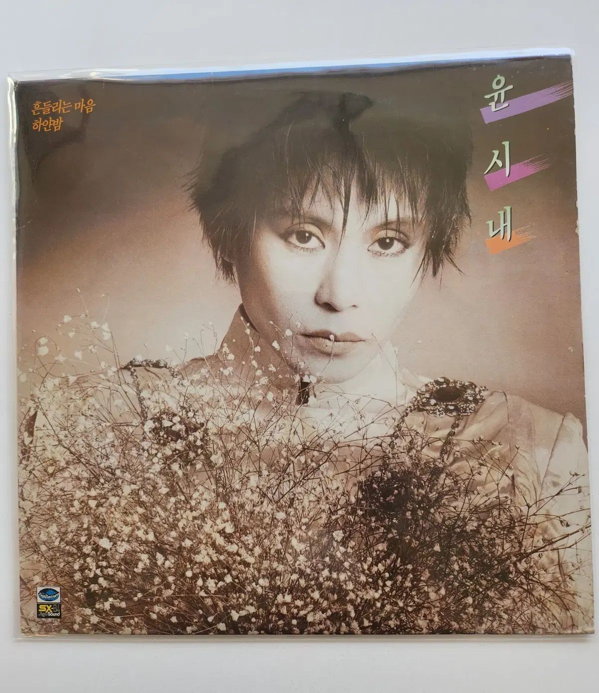 雲石市 4 家 LP ／ MINT