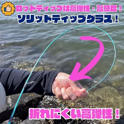 TACKLAND】 高コスパ 遊べる2ピースロッド スピニングorベイト 色んな