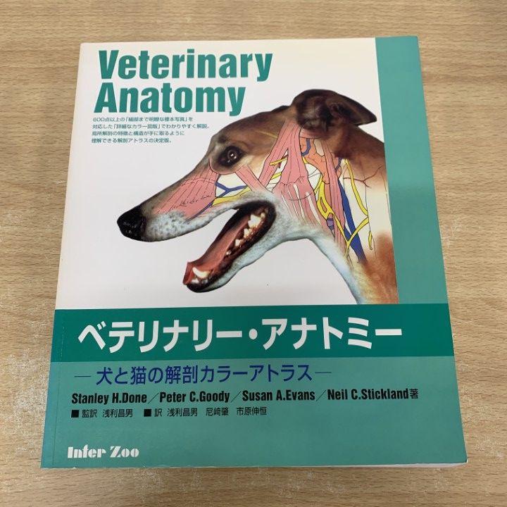 △01)【1点限り!】【希少本】ベテリナリー・アナトミー/犬と猫の解剖
