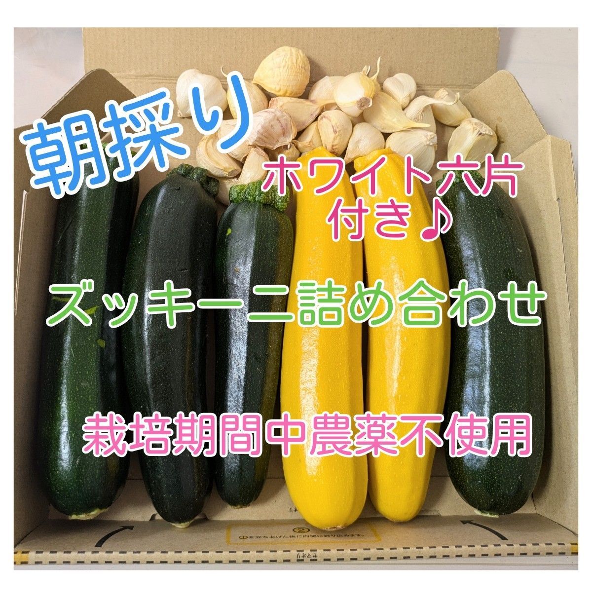 ☆本日発送☆ 朝採り ズッキーニ 詰め合わせ ホワイト六片付き