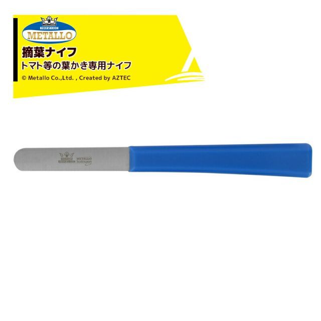 【白山茶花図】藤井浩裕 2721 彫刻家 共箱 掛け軸 肉筆 白山茶花図】藤井浩裕 2721 彫刻家 共箱 掛け軸 肉筆 【公式通販】