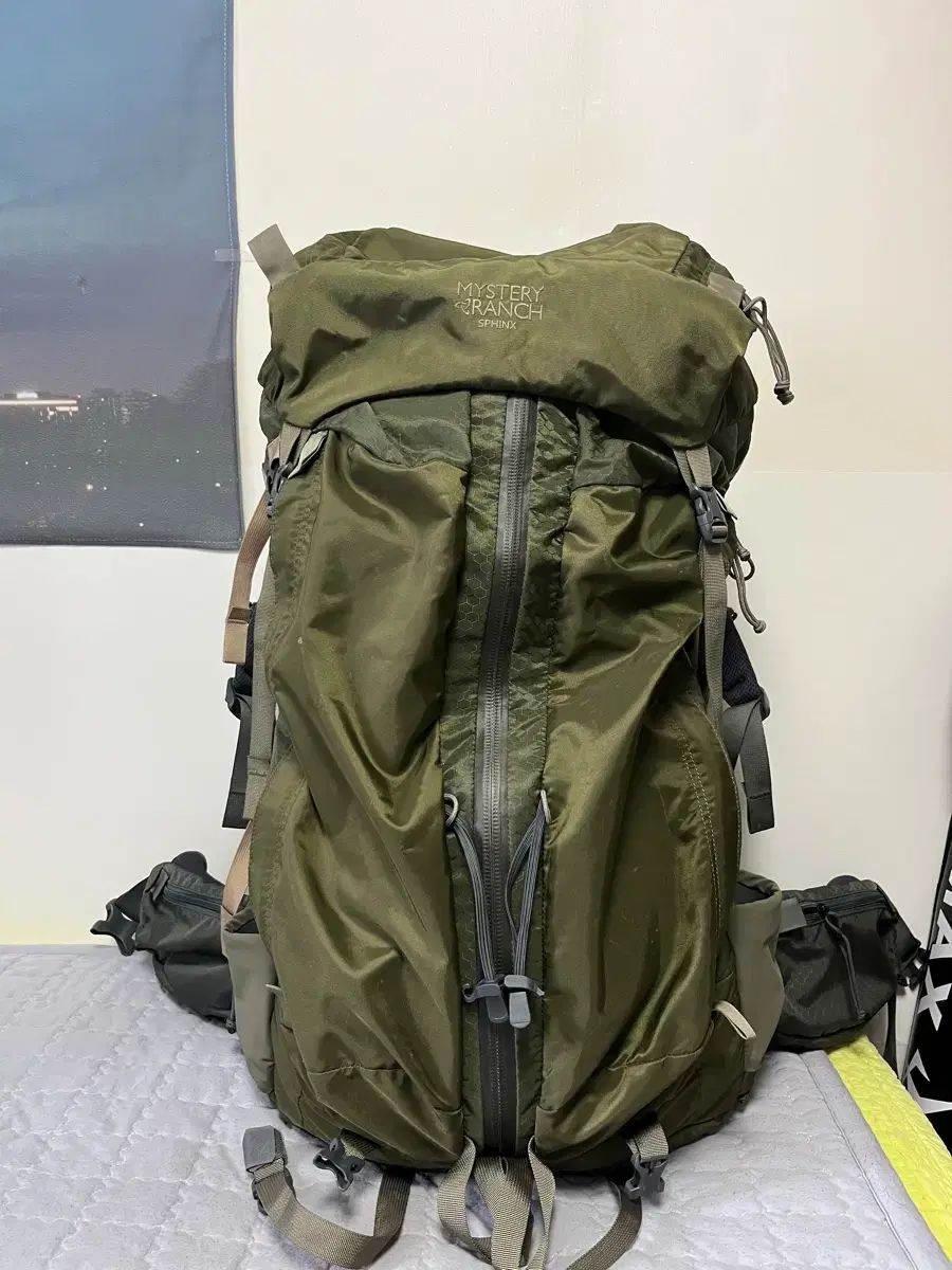 ミステリーレン フレンチテリー スピンクス65L