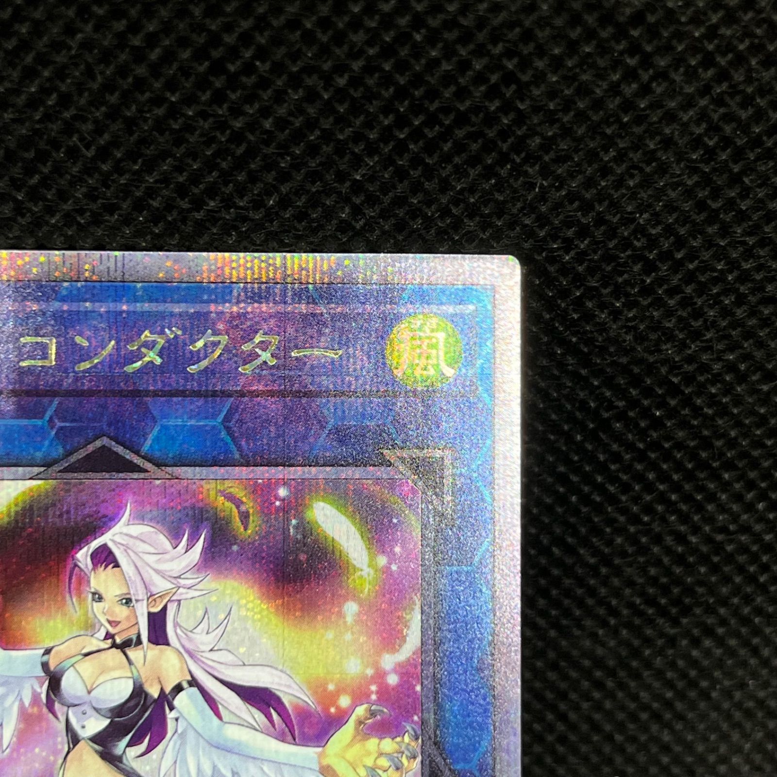 遊戯王 ハーピィ・コンダクター クォーターセンチュリーシークレット