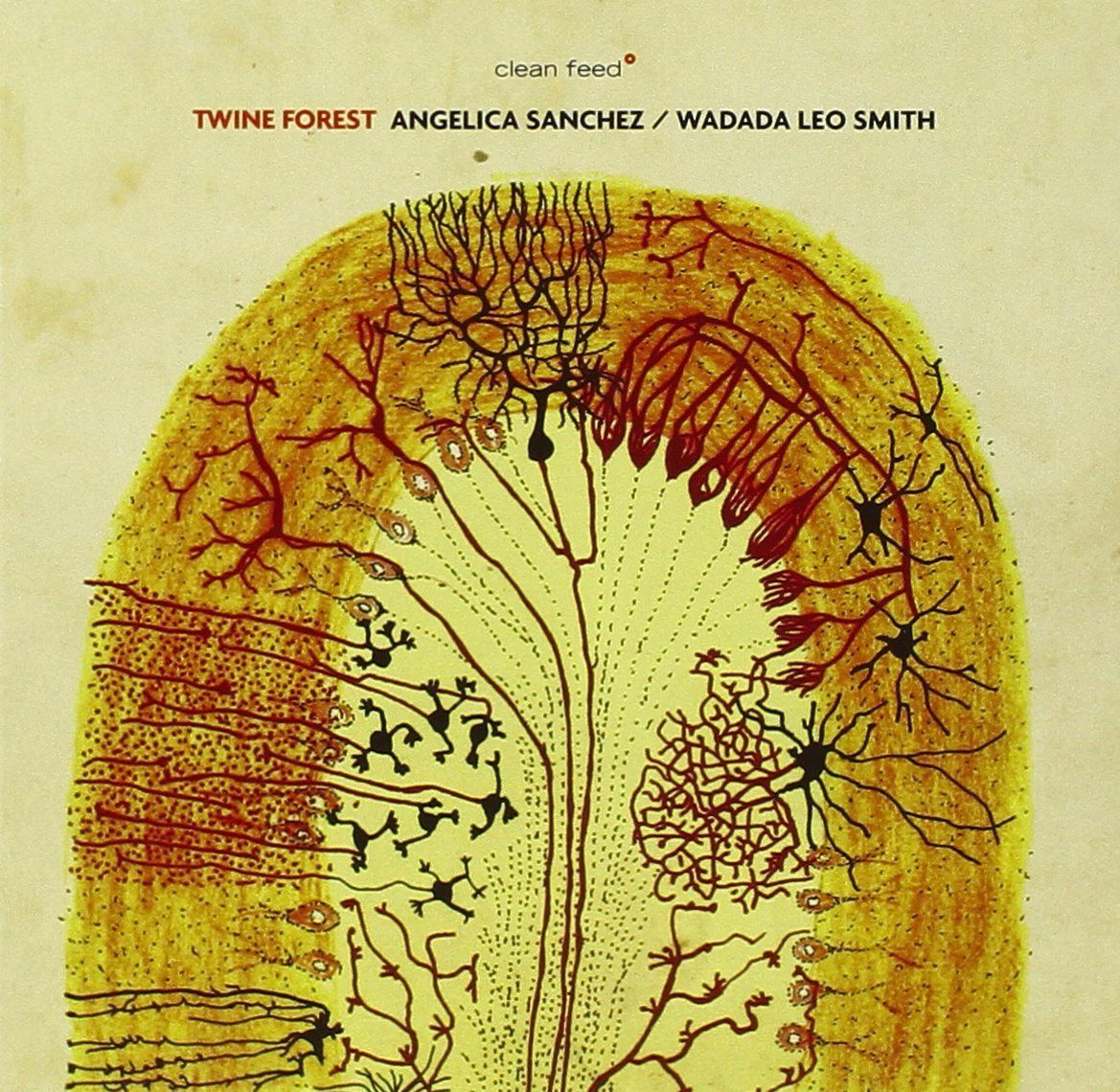 【CD】Twine Forest
