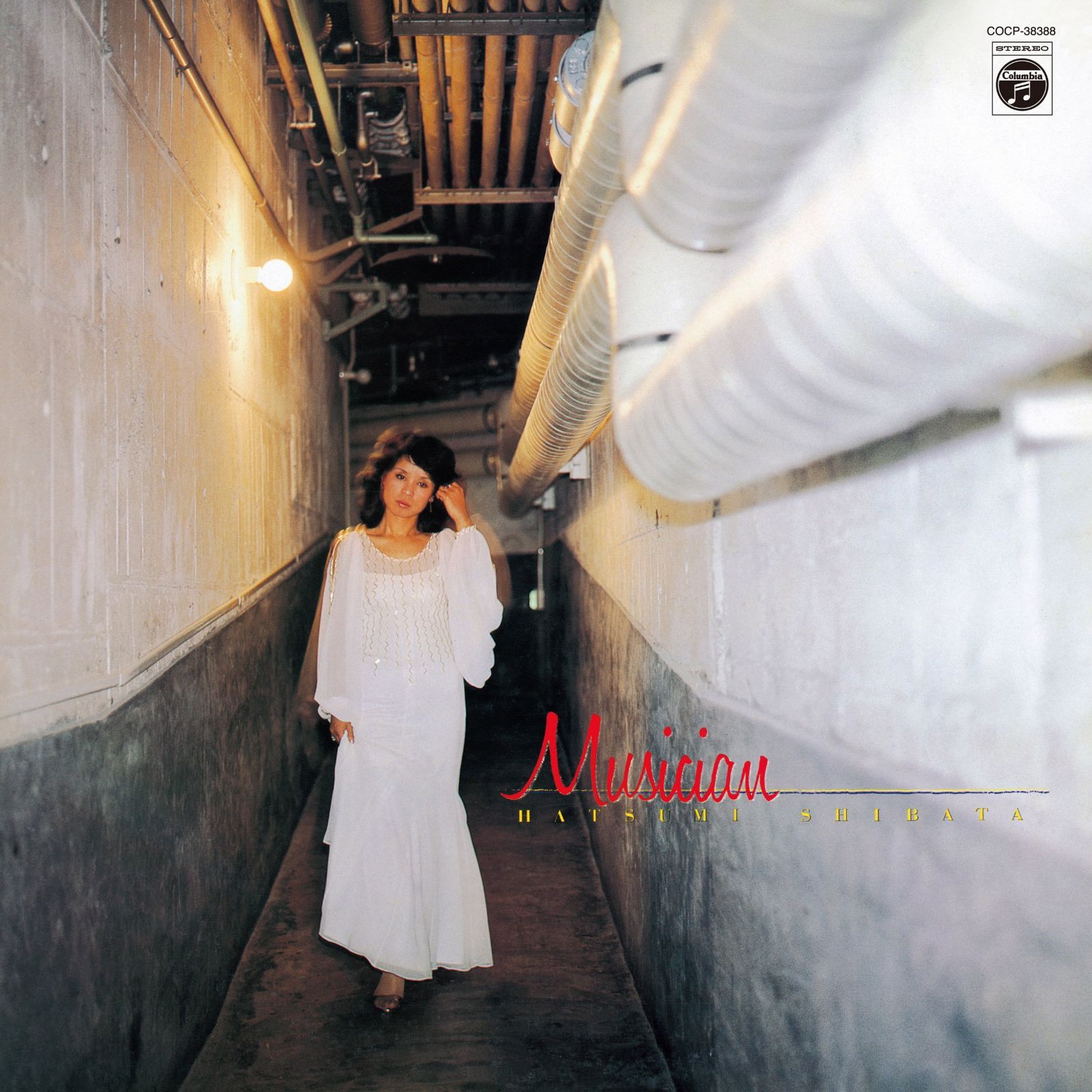 【CD】MUSICIAN