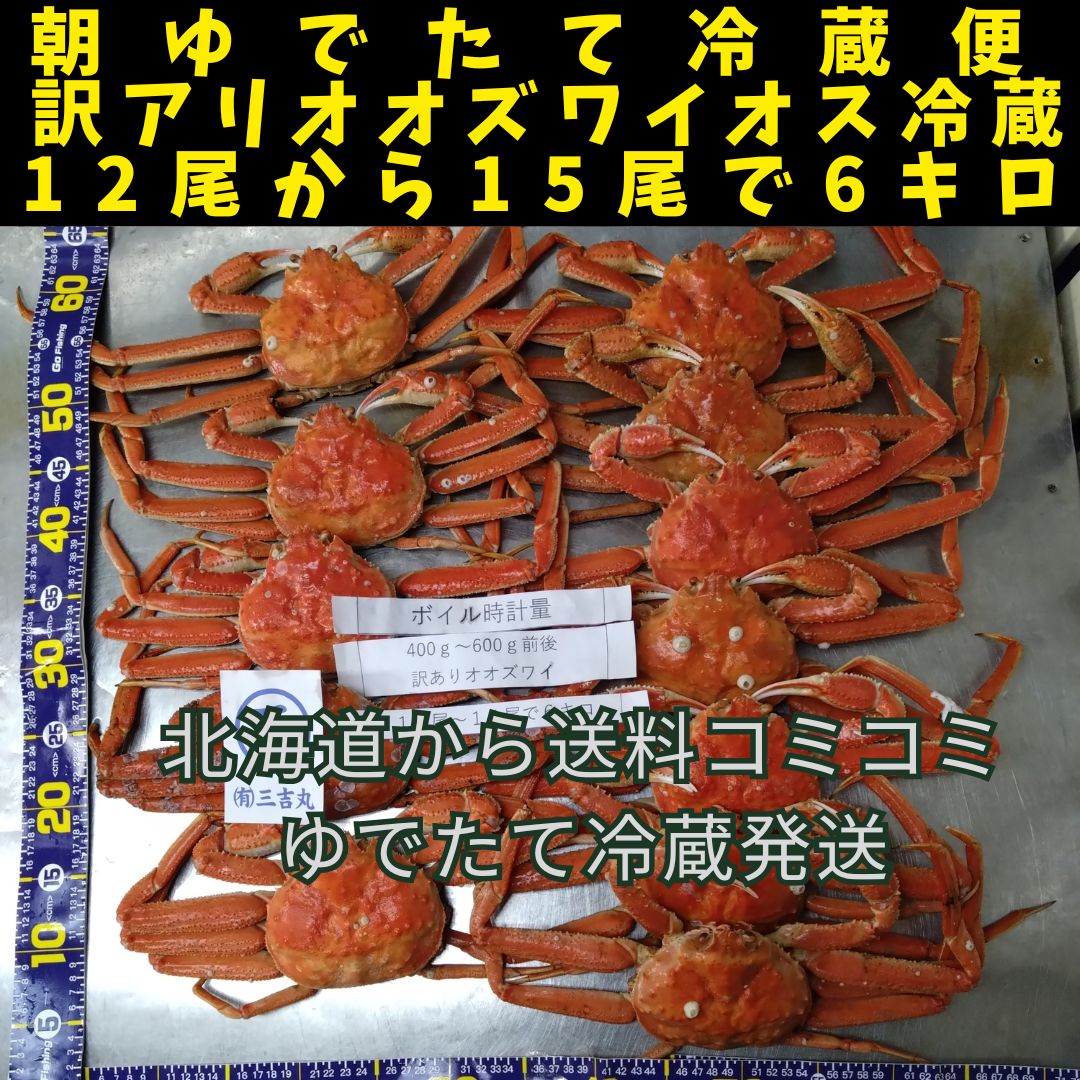朝ゆで訳ありオオズワイ１２尾から１５尾で６キロボイル時　特大ゆでたて冷蔵便