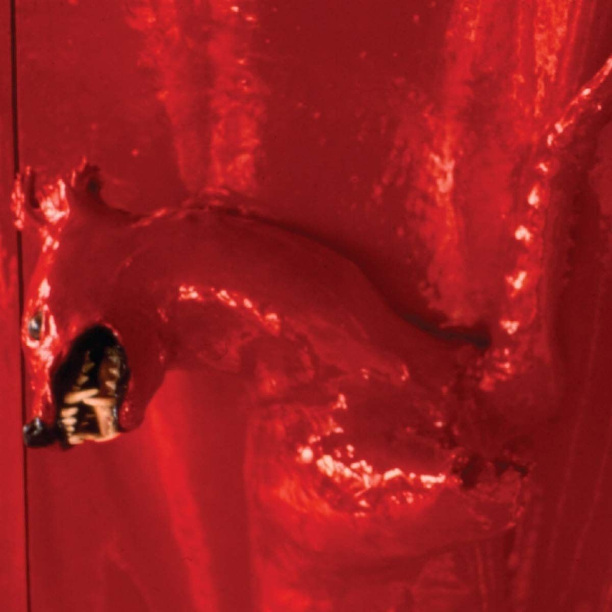 【CD】A Red Score In Tile