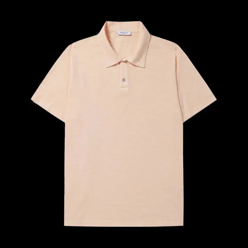 シリーズ wool&co Tシャツ 新品