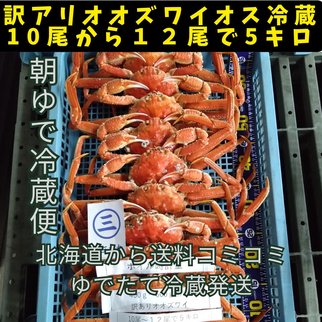 朝ゆで訳ありオオズワイ１０尾から１２尾で５キロボイル時　特大ゆでたて冷蔵便