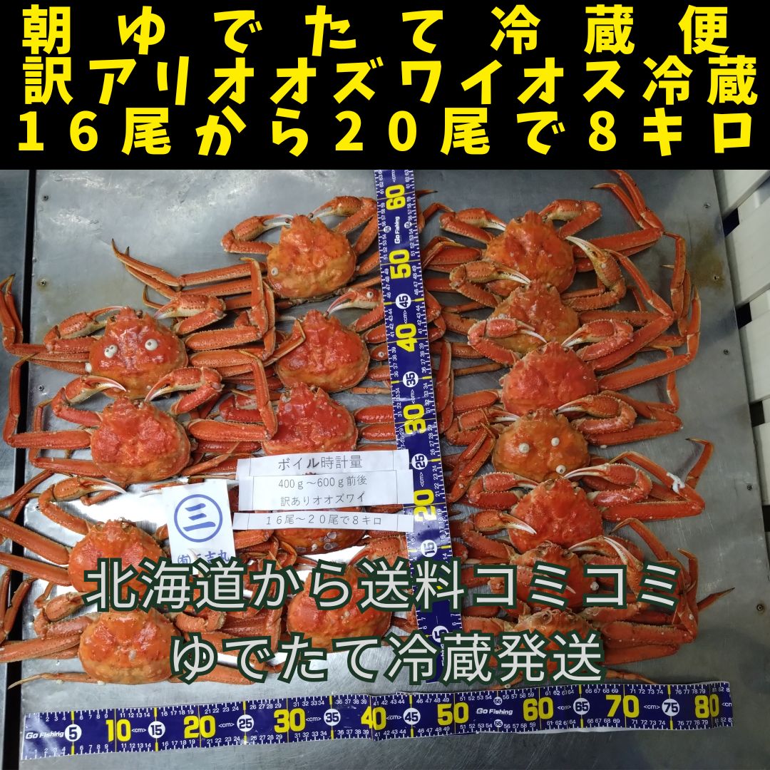 朝ゆで訳ありオオズワイ１６尾から２０尾で８キロボイル時　特大ゆでたて冷蔵便