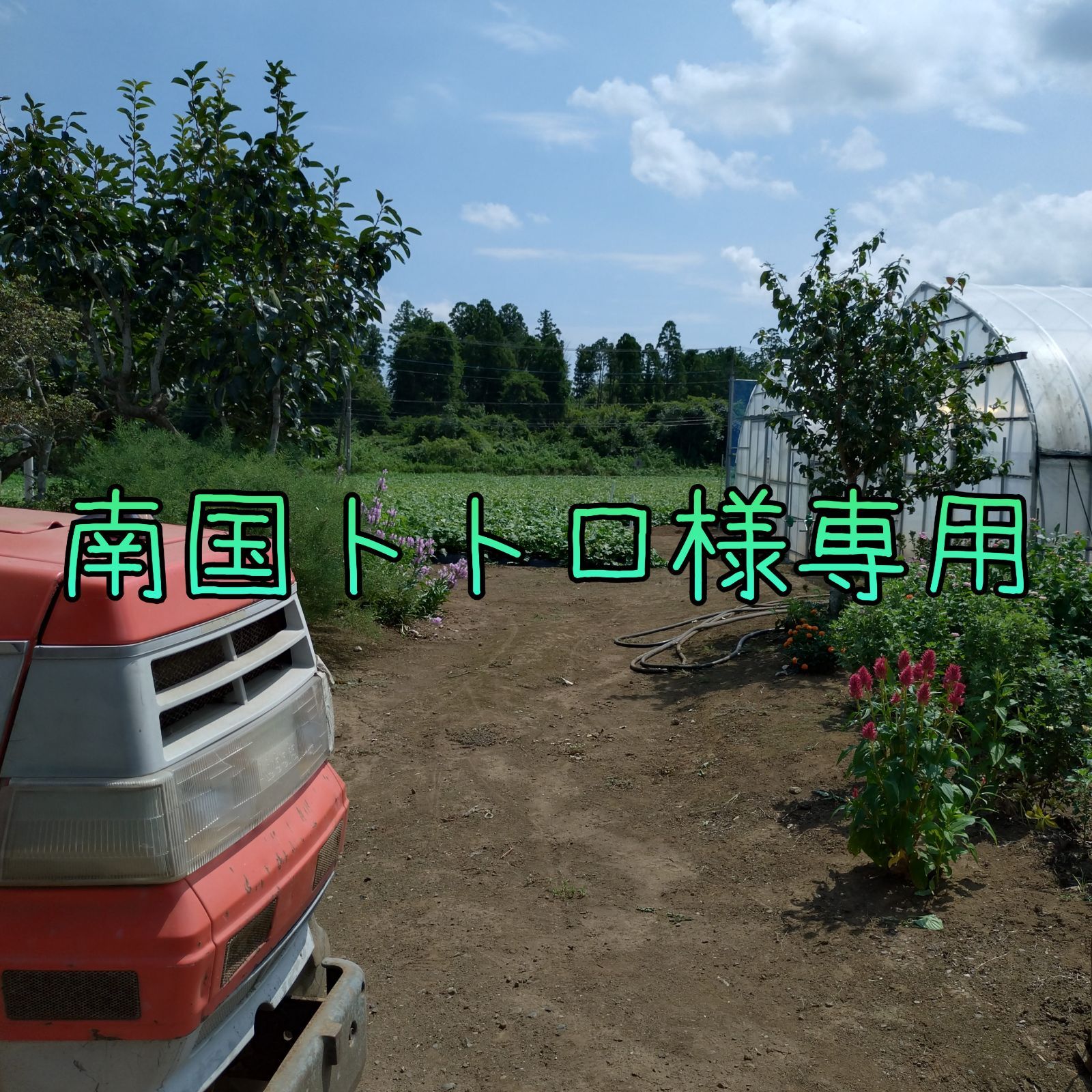 makomako様専用 トトロ 魔女の宅急便 2個セット 【公式通販】 トトロロ