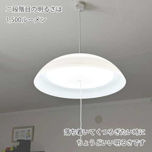REUDO LEDペンダントライト 6?8畳 27W 3000lm 昼白色 プルスイッチ3段階切替 引掛けシーリング用 YH-PL3060-YRkk 71a034ee REUDO LEDペンダントライト 6?8畳 27W 3000lm 昼白色 プルスイッチ3段階切替 引掛けシーリング用 YH-PL3060-YRkk 71a034ee