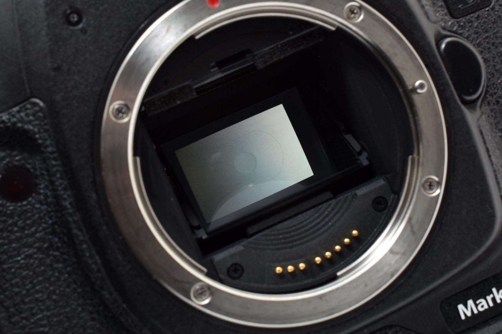 【シャッター回数：66回】 キヤノン Canon EOS-1D Mark III ボディ イオス デジタル一眼レフカメラ デジタルカメラ [良品] #2891733A