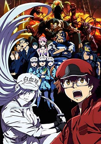 はたらく細胞BLACK 6(完全生産限定版) [Blu-ray]／山本秀世