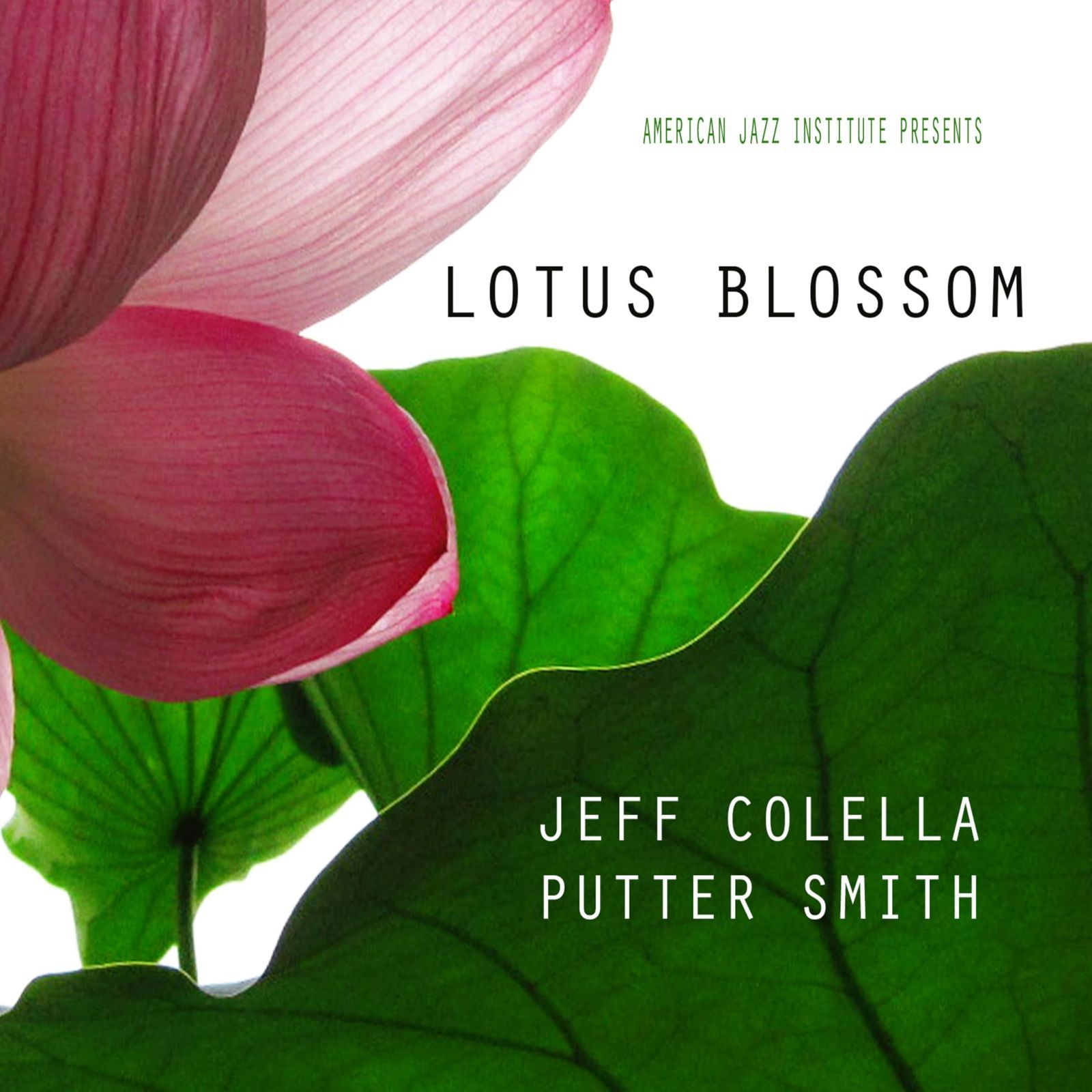 【CD】Lotus Blossom