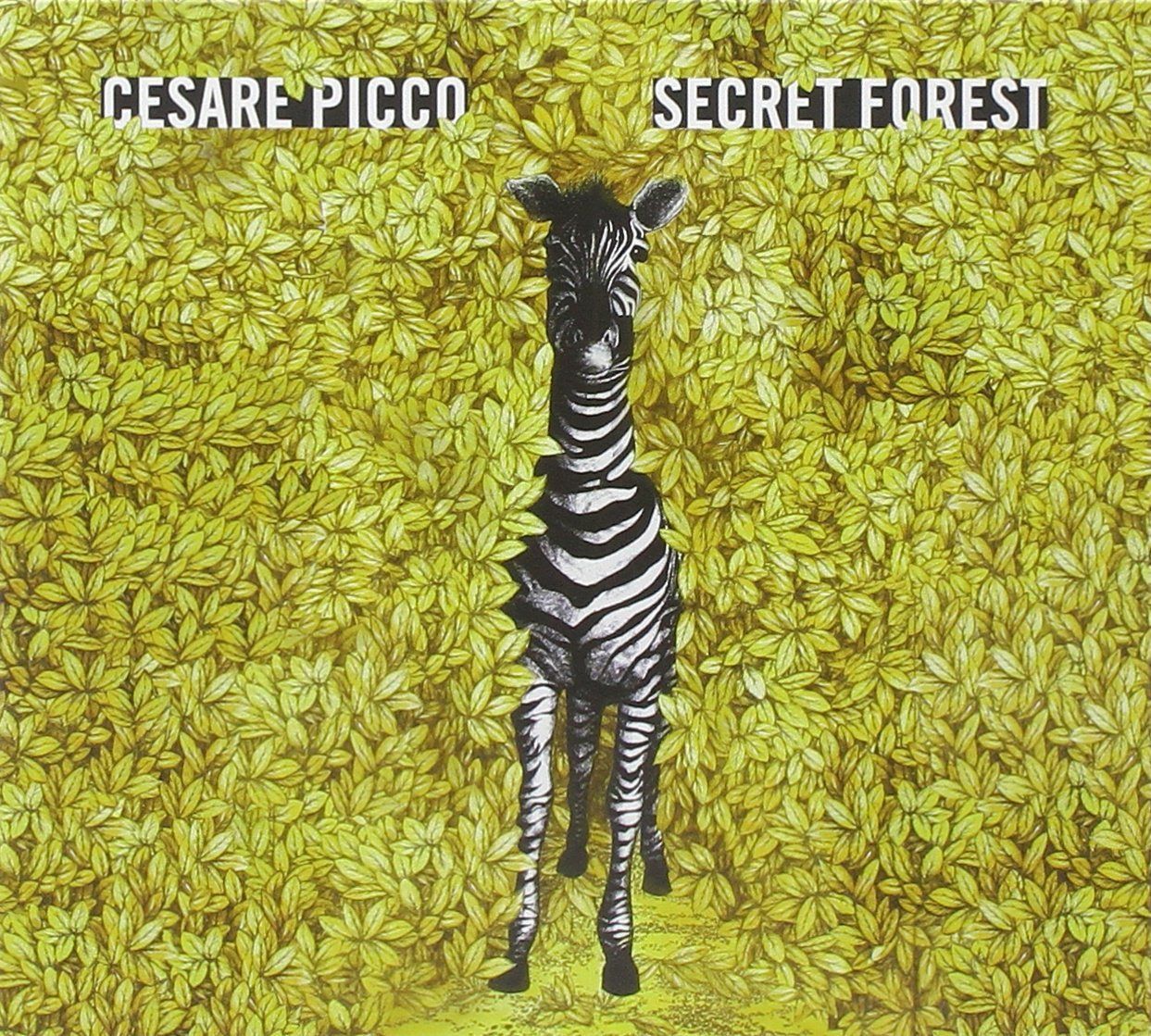 【CD】Secret Forest
