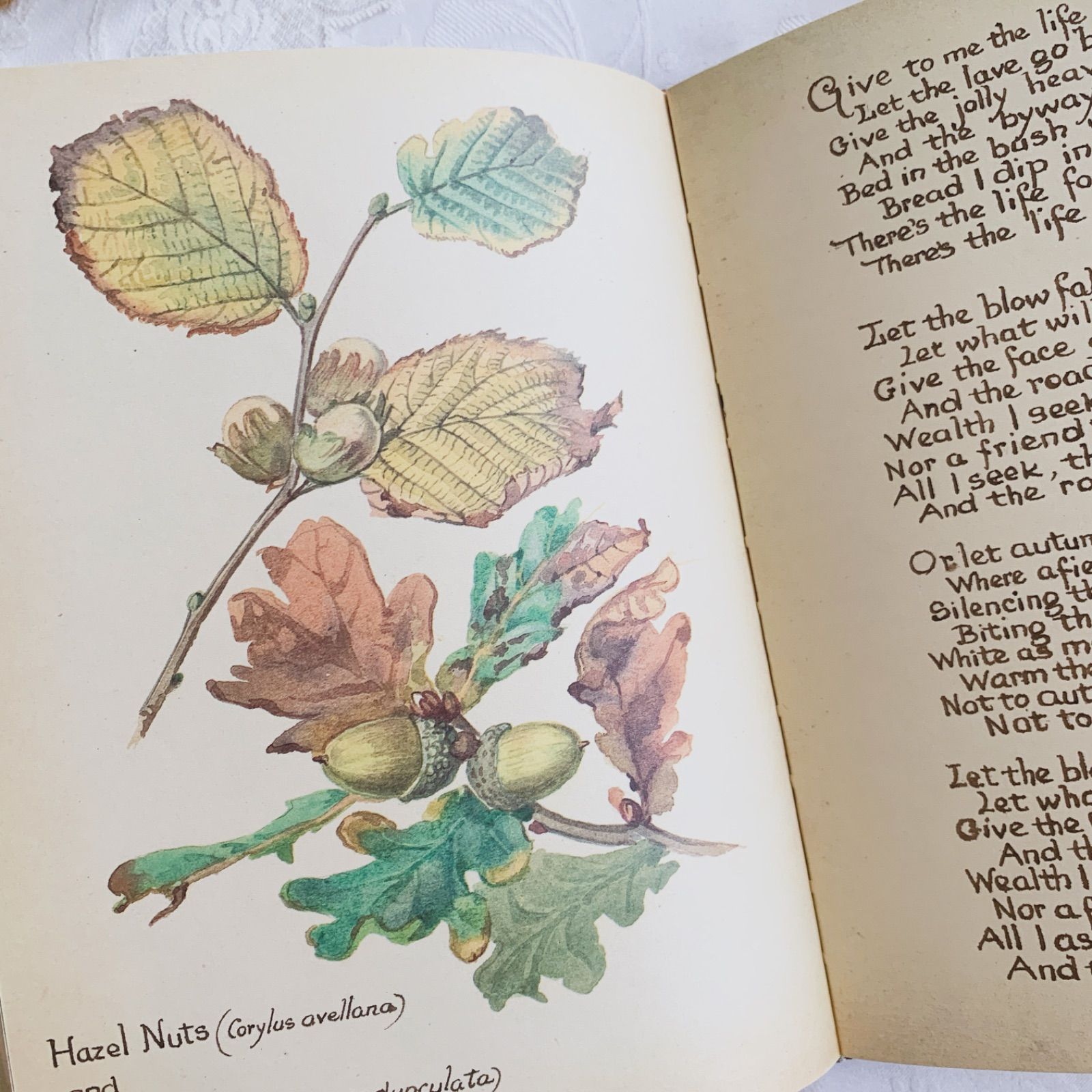 1978年 イギリス洋書 イーディス・ホールデンの美しいカントリー
