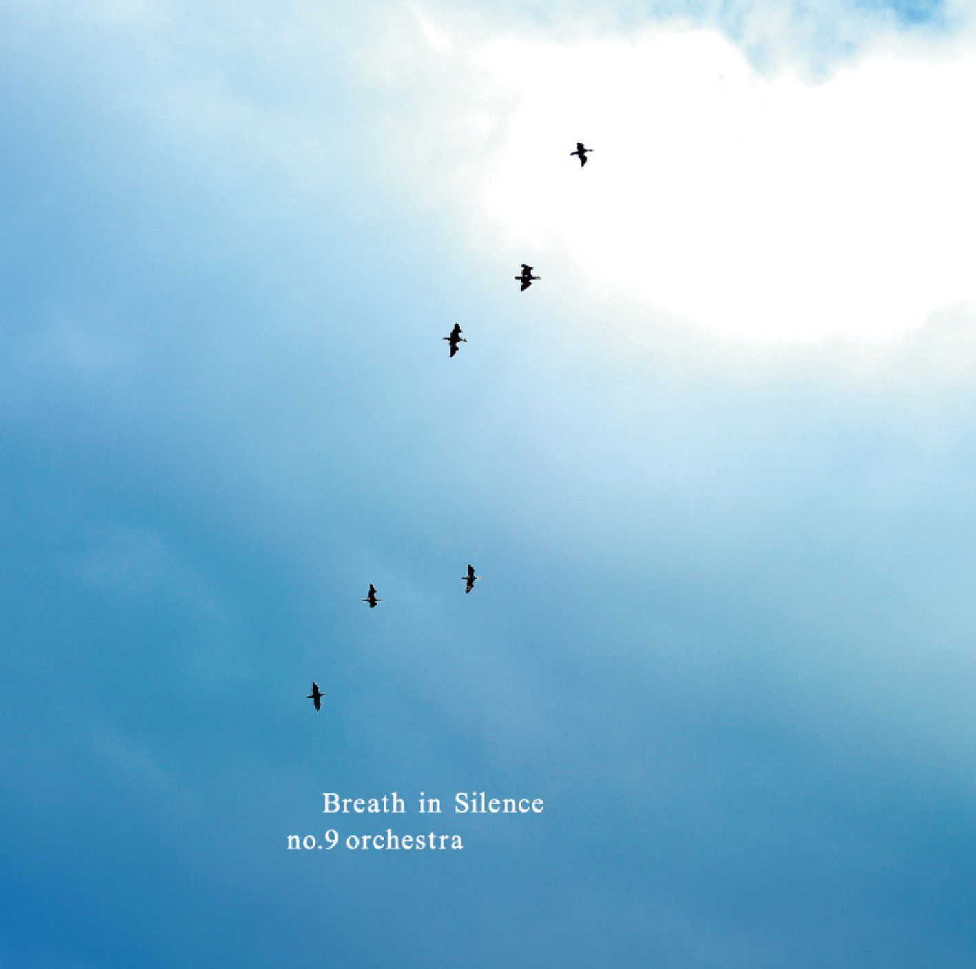【CD】Breath in Silence 6,618円