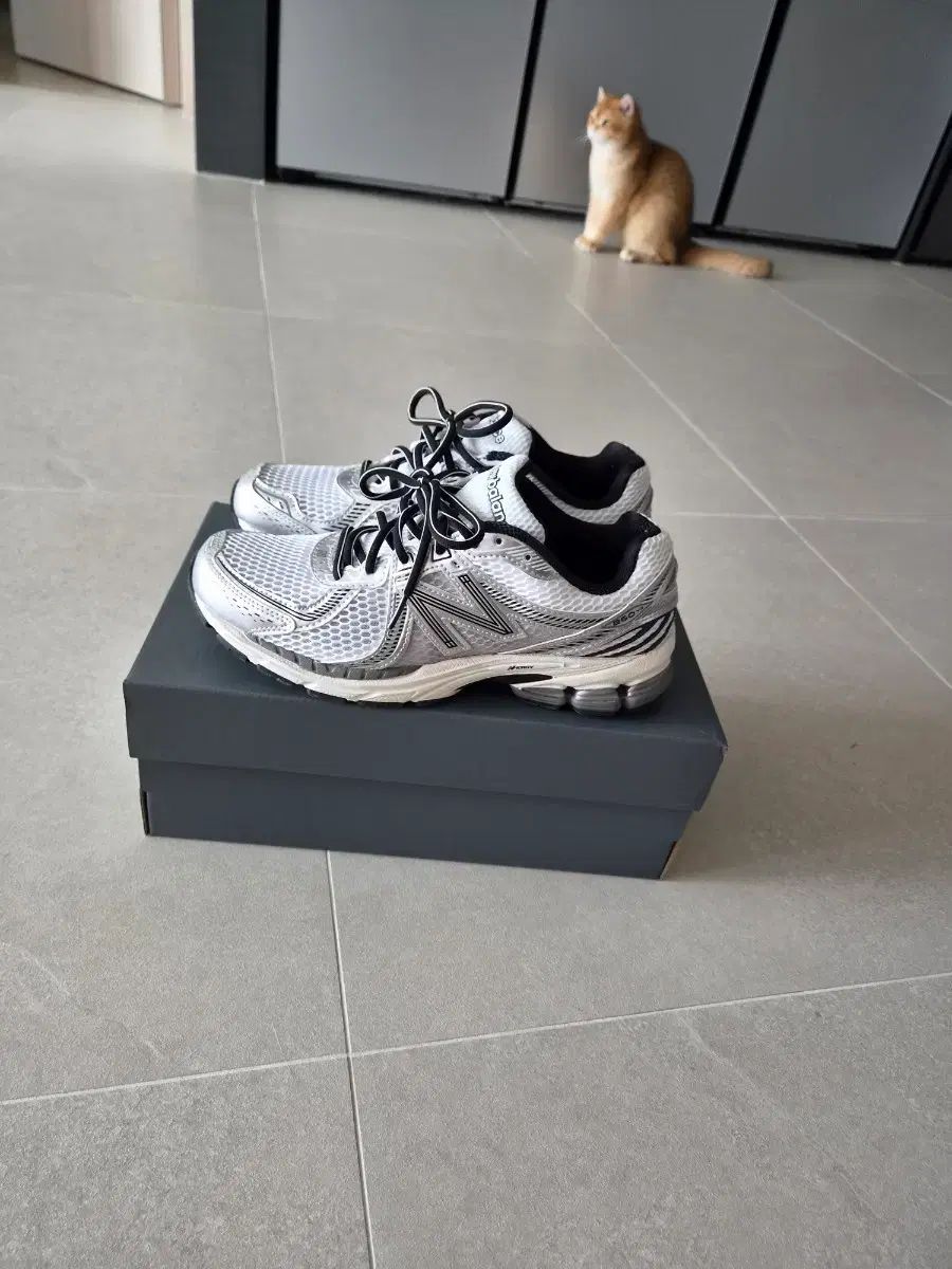 ニューバランス 860v2 オプティック 白