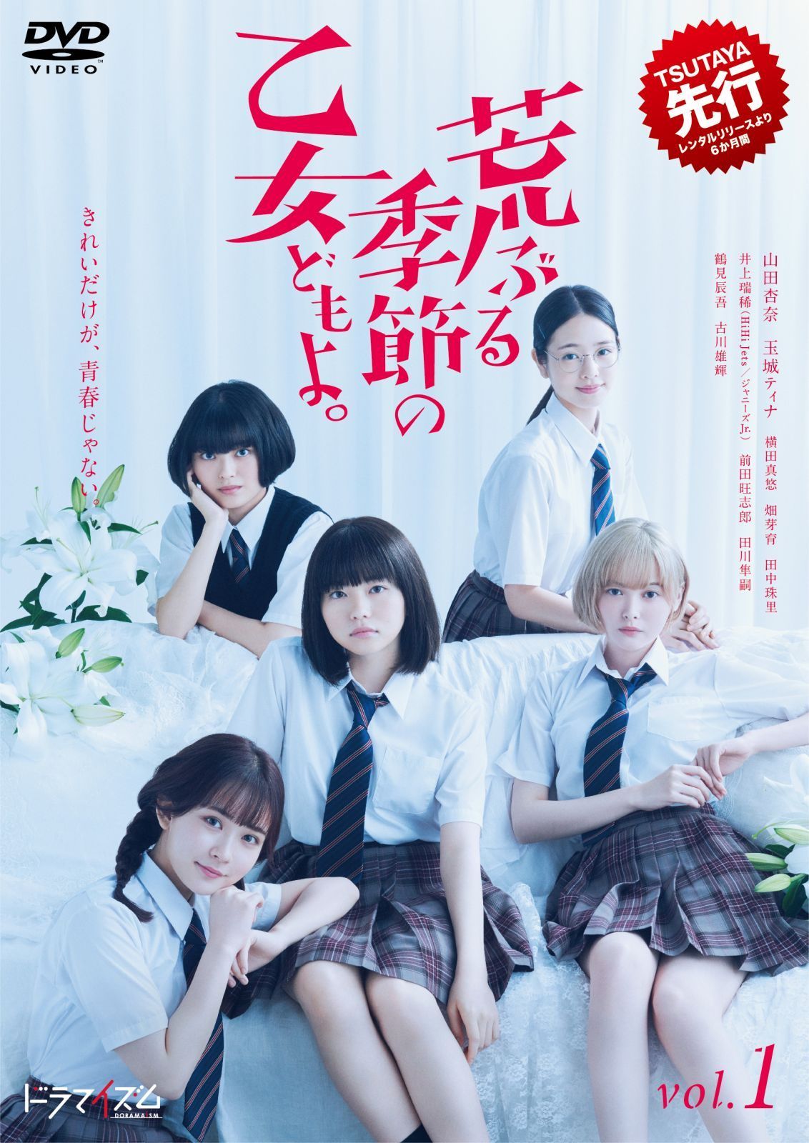 【中古】 荒ぶる季節の乙女どもよ。 (4巻セット) [レンタル落ち] [DVD]