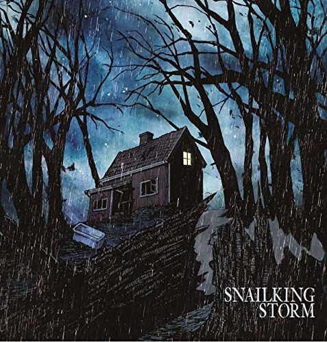 【CD】Storm 15,836円